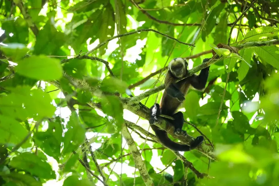 Amazon Deutschland sucht Mitarbeiter: Verdienen Sie bis zu 3.000 € im Monat!